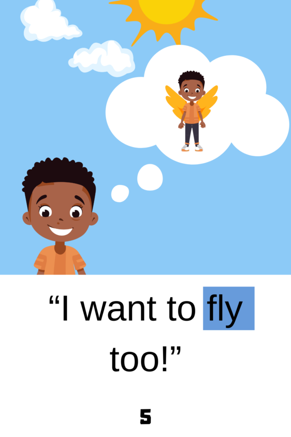 fly in the sky decodable books example page level 1