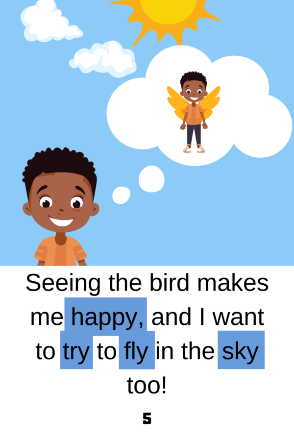 fly in the sky decodable books example page level 2