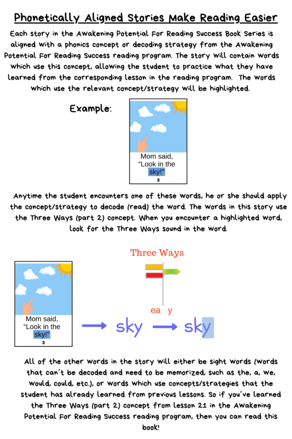 fly in the sky decodable books description page