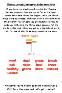 fly in the sky decodable books concept page