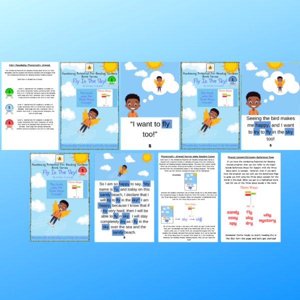 fly in the sky decodable books marketing page