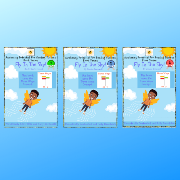 Fly In The Sky decodable books cover page